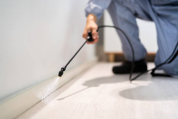 Bed Bug Pre-Treatment Preparation Assessment in Oak Grove Heights