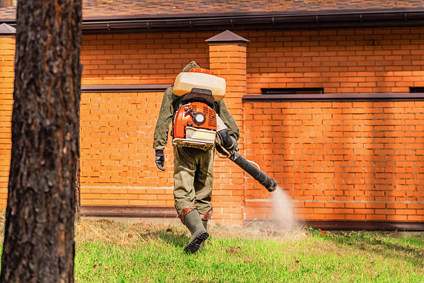 Bed Bug Clearance Verification and Documentation in Oak Grove Heights